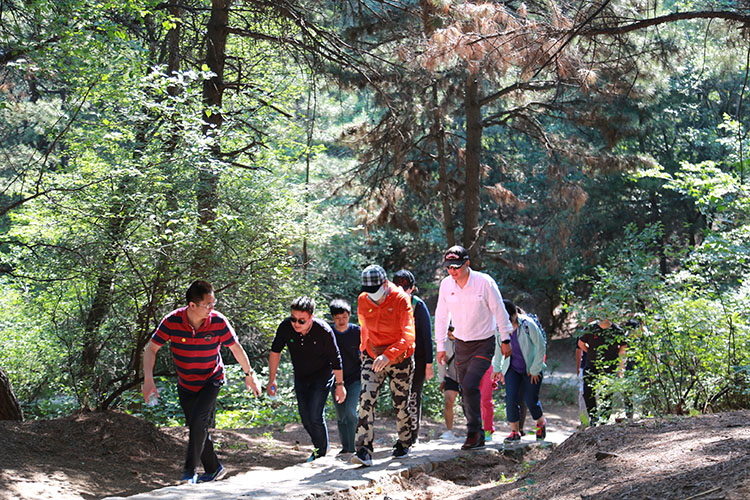 DB���ˡ�(�й���)�ٷ���վ