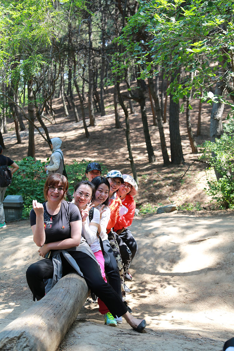 DB���ˡ�(�й���)�ٷ���վ