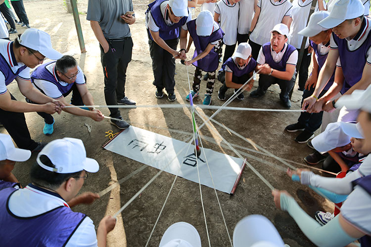 DB���ˡ�(�й���)�ٷ���վ