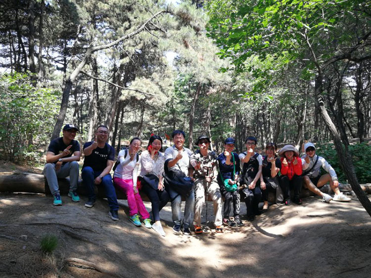 DB���ˡ�(�й���)�ٷ���վ