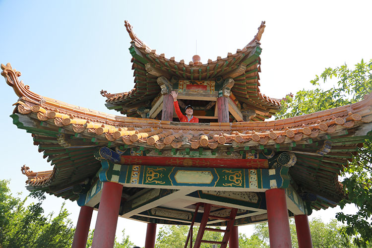 DB���ˡ�(�й���)�ٷ���վ