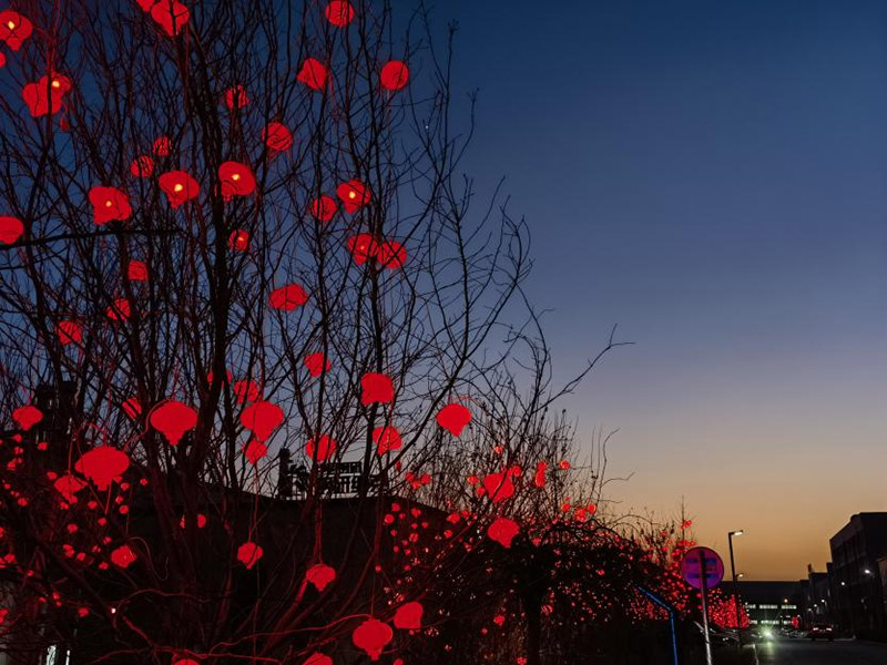 DB���ˡ�(�й���)�ٷ���վ